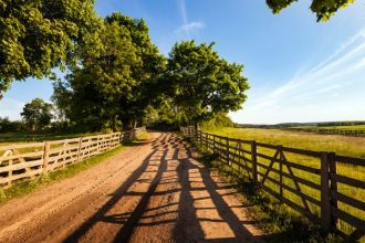 Carlos Eduardo Moraes Nunes