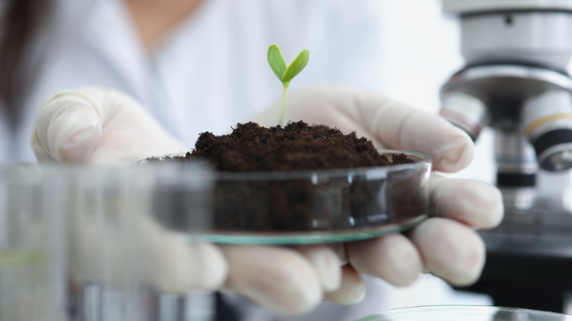 Para Sérgio Bento De Araújo, os laboratórios sustentáveis representam o futuro da aprendizagem ecológica e da inovação nas escolas.