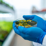 Sérgio Bento De Araújo apresenta os laboratórios sustentáveis como espaços onde inovação e consciência ambiental caminham juntas na educação.