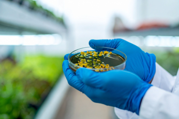 Sérgio Bento De Araújo apresenta os laboratórios sustentáveis como espaços onde inovação e consciência ambiental caminham juntas na educação.